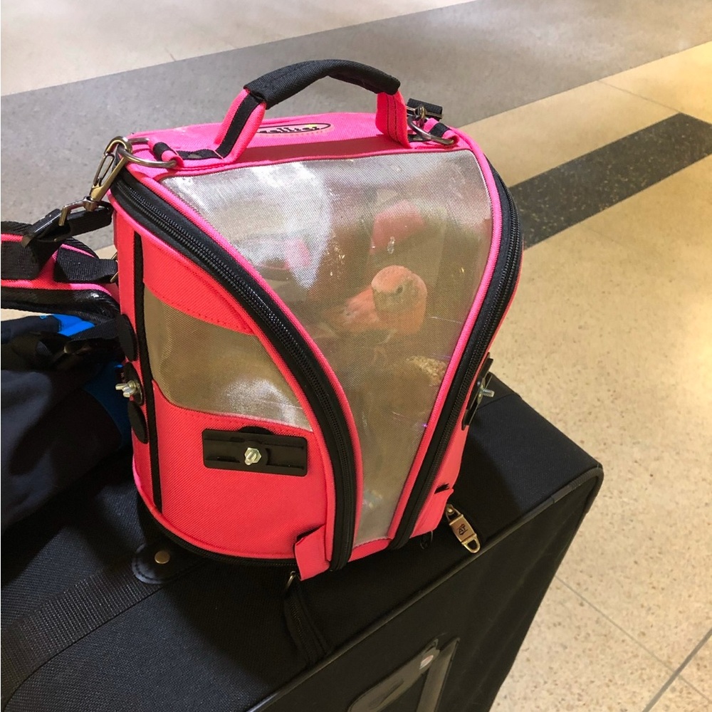 Pink Birdie Backpack